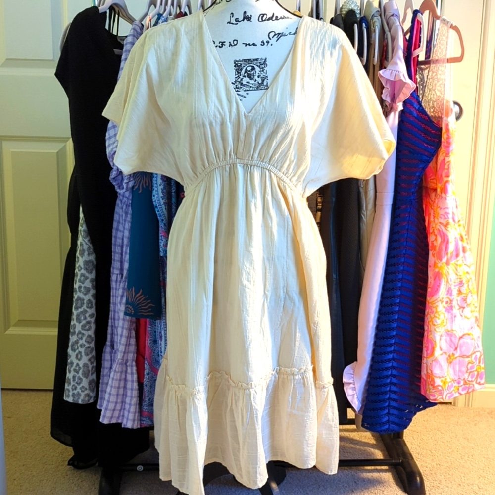 NWT Loft Dress